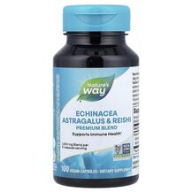 Echinacea Astragalus Reishi Эхинацея Астрагал
