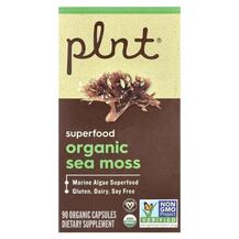 Organic Sea Moss Ирландский морской мох Plnt