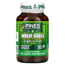 Wheat Grass Ростки пшеницы Витграсс Pines