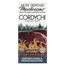 Огляд на Гриби Кордицепс Mushrooms Cordychi Огляд на Гриби Кордицепс Mushrooms Cordychi
