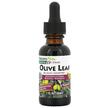 Фото товара Листья оливы, Herbal Actives Olive Leaf Alcohol Free, 30 мл