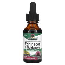 Echinacea & Goldenseal Standardized Fluid Extract Эхинацея