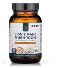 Organic Lion's Mane Mushroom Грибы Львиная грива