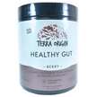 Terra Origin, Поддержка кишечника, Healthy Gut Berry, 243 г
