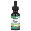 Фото товара Корень Имбиря, Ginger Alcohol-Free 1000 mg, 30 мл