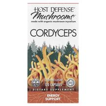 Огляд на Гриби Кордицепс Cordyceps Host Огляд на Гриби Кордицепс Cordyceps Host