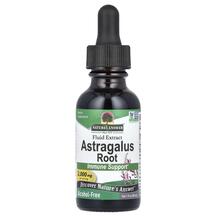 Astragalus Alcohol-Free 2000 mg Астрагал Nature's