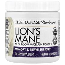 Mushroom Lion's Mane Mycelium Powder Грибы Львиная