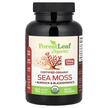 Certified Organic Sea Moss + Burdock, Ирландский морской мох, ...