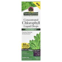 Concentrated Chlorophyll Liquid Drops Alcohol-Free 60 мл