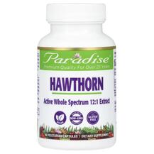 Hawthorn Боярышник Paradise Herbs 60 капсул
