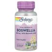 Фото товара Solaray, Босвеллия 450 мг, Boswellia 450 mg, 60 капсул