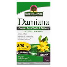 Огляд на Лист Даміана 800 мг Damiana Leaf Огляд на Лист Даміана 800 мг Damiana Leaf