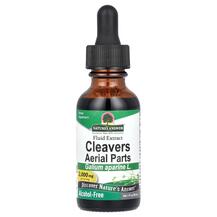 Cleavers Galium Aparine 2000 mg Подмаренник цепкий