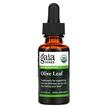 Фото товара Gaia Herbs, Экстракт оливковых листьев, Olive Leaf, 30 мл