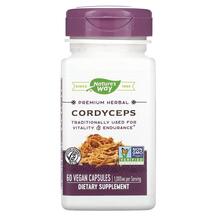 Огляд на Кордицепс 1000 мг Cordyceps Nature's Огляд на Кордицепс 1000 мг Cordyceps Nature's