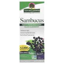 Sambucus Black Elderberry 12000 mg Сироп из Бузины Sambucus Black Elderberry 12000 mg Сироп из Бузины