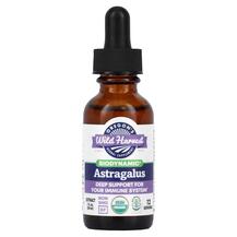 Biodynamic Astragalus Астрагал Oregons Wild Harvest