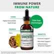 NutraMedix, Саменто, Samento Immune/Microbial Support, 30 мл