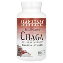 Full Spectrum Chaga 1000 mg Грибы Чага Planetary