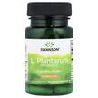 L. Plantarum Probiotic 10 Billion CFU, Лактобактерії, 30 капсул