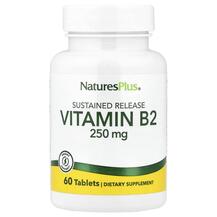 Обзор на Vitamin B2 250 mg 60 Витамин B-2 Обзор на Vitamin B2 250 mg 60 Витамин B-2