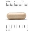 Фото применение Гинкго Билоба, Ginkgo Biloba Phytosome 480 mg, 60 капсул