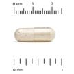 Фото применение Ginger Acmella Phospholipid Matrix 350 mg, Корень Имбиря, 60 капс