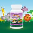 Фото применение Жевательные пробиотики, AcidophiKidz Children's, 90 конфет