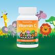 Фото применение Source of Life Animal Parade Vitamin C Children's, Витамин C