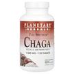 Фото применение Грибы Чага, Full Spectrum Chaga 1000 mg, 120 таблеток