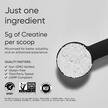Фото применение Sports Research, Креатин, Creatine Monohydrate Unflavored, 500 г