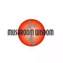 О производителе Mushroom Wisdom, где купить в Украине?