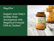 Видео обзор на MegaFood, Пренатальные витамины, Baby & Me 2, 60 таблеток