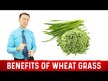 Видео обзор на Dr. Berg, Ростки пшеницы Витграсс, Wheatgrass Juice Powder, 150 г