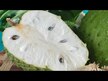 Видео обзор на Ultimate Omega Tropical Fruit 600 mg, Рыбий жир Омега-3, 54 конфе
