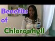 Відео огляд на World Organic, Liquid Chlorophyll 100 mg, Хлорофіл, 474 мл