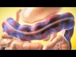 Видео обзор на NutraChamps, Поддержка кишечника, Colon Cleanse, 28 капсул