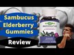 Видео обзор на Sambucus Gummies Standardized Elderberry, Черная Бузина, 60 конфе