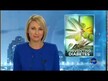Видео обзор на Листья оливы, Olive Leaf Herb Extract, 120 капсул
