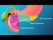 Видео обзор на Pancreas Natural Glandular Pork, Поддержка поджелудочной, 60 капс