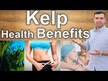 Видео обзор на NOW, Ламинария в порошке, Kelp Pure Powder, 227 г