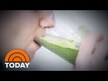 Видео обзор на Люцерна, Jurassic Green Nutritious Powder, 118 мл