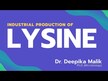 Видео обзор на Carlson, L-Лизин, L-Lysine Powder, 100 г