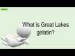 Видео обзор на Great Lakes Wellness, Коллаген, Collagen, 454 г